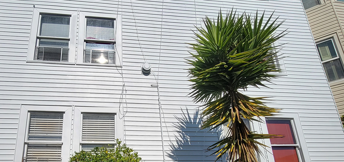 Palm tree casting shadow on white siding near a window.