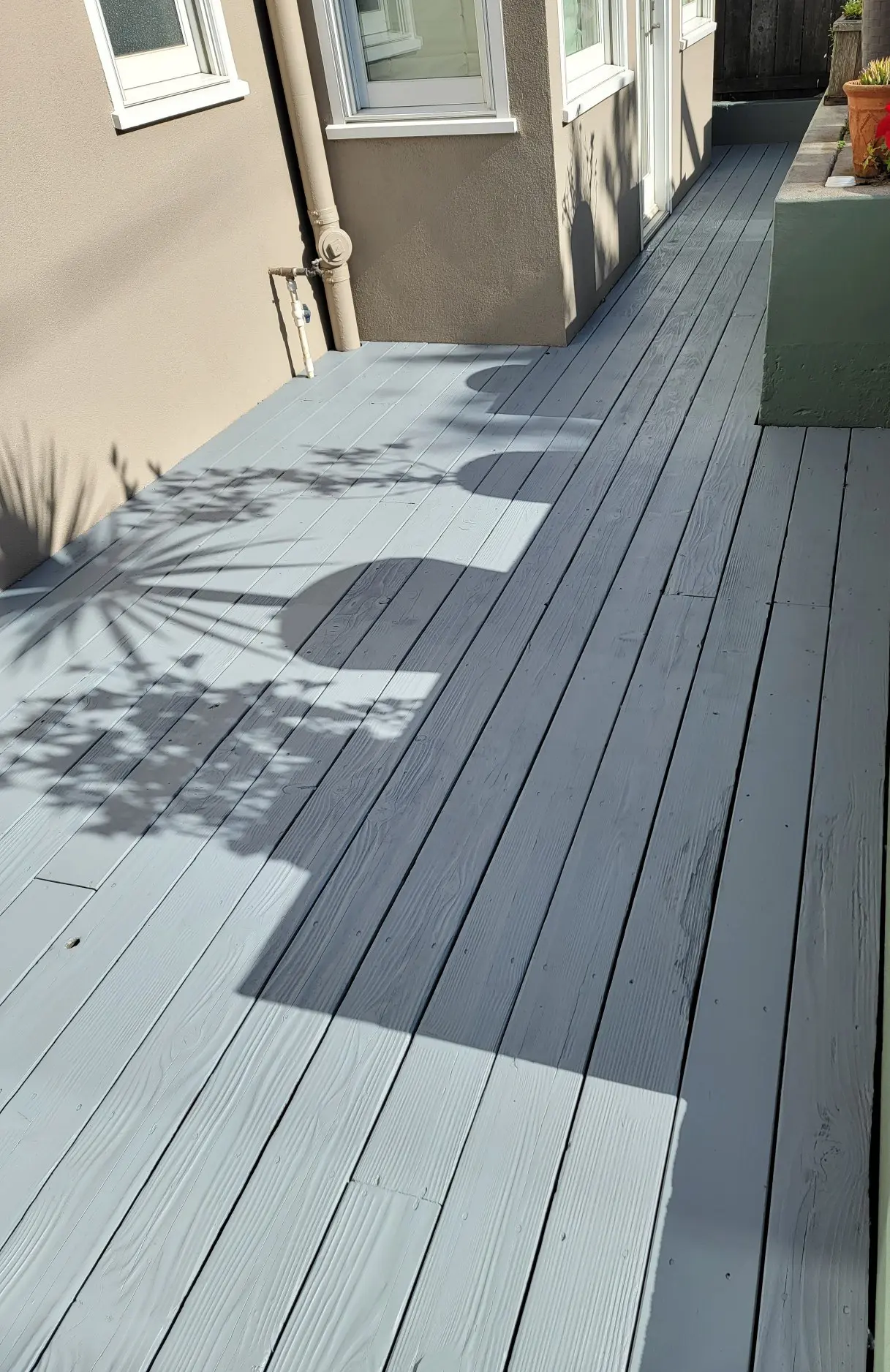 Shadow of a plant cast on a light gray wooden deck.