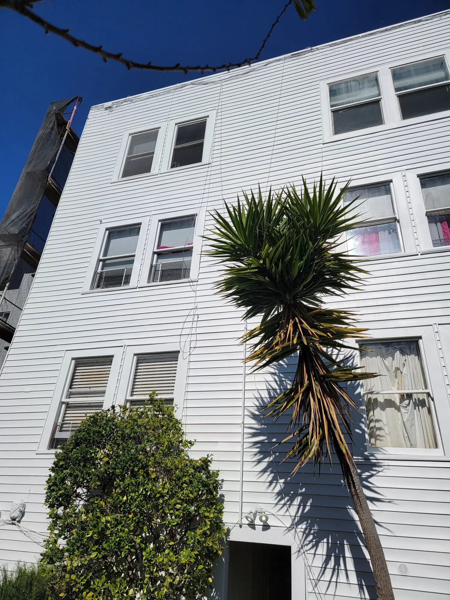 White multi-story building with palm tree and greenery in front.