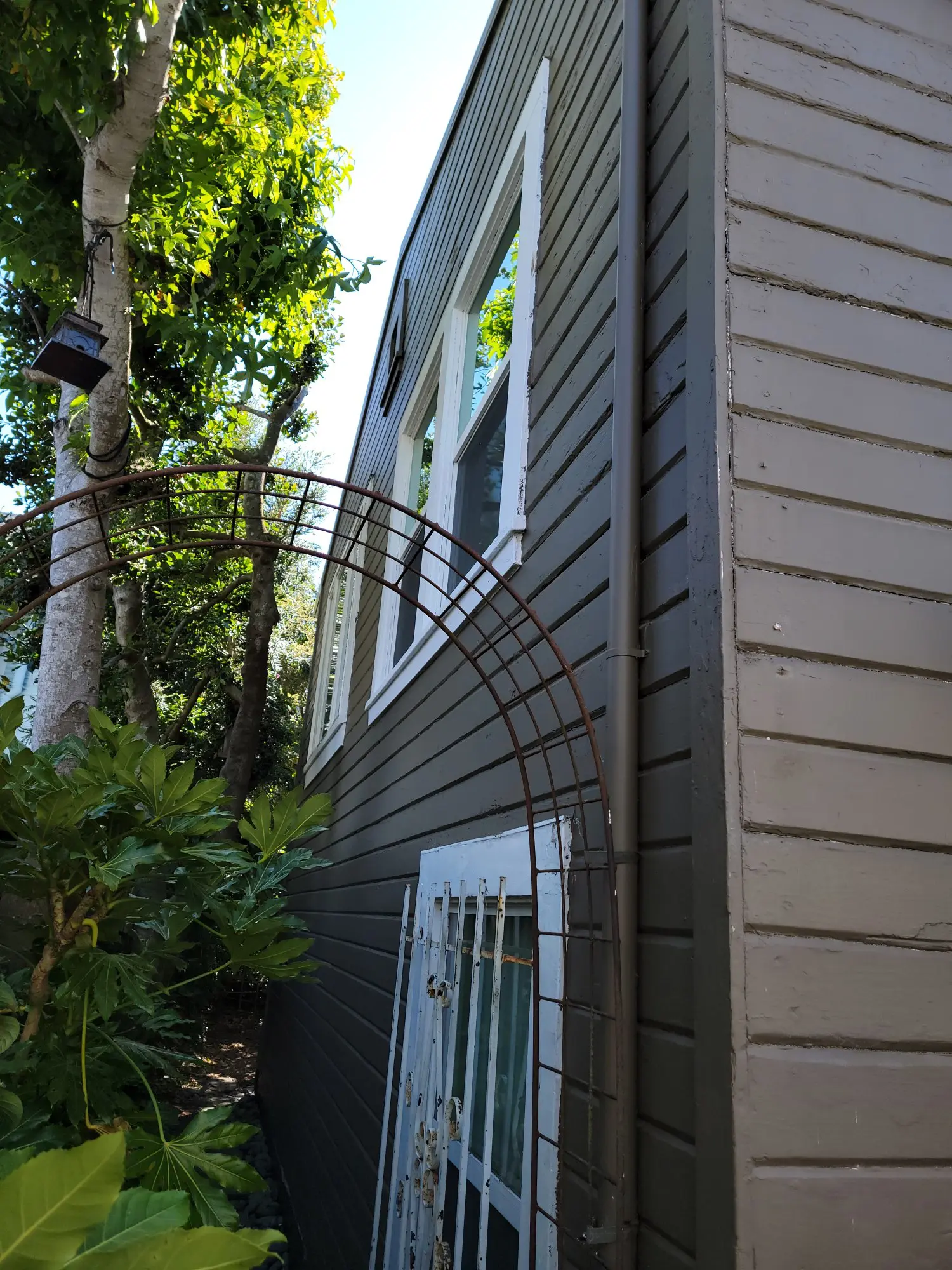 Metal arch trellis attached to house exterior next to trees and windows.