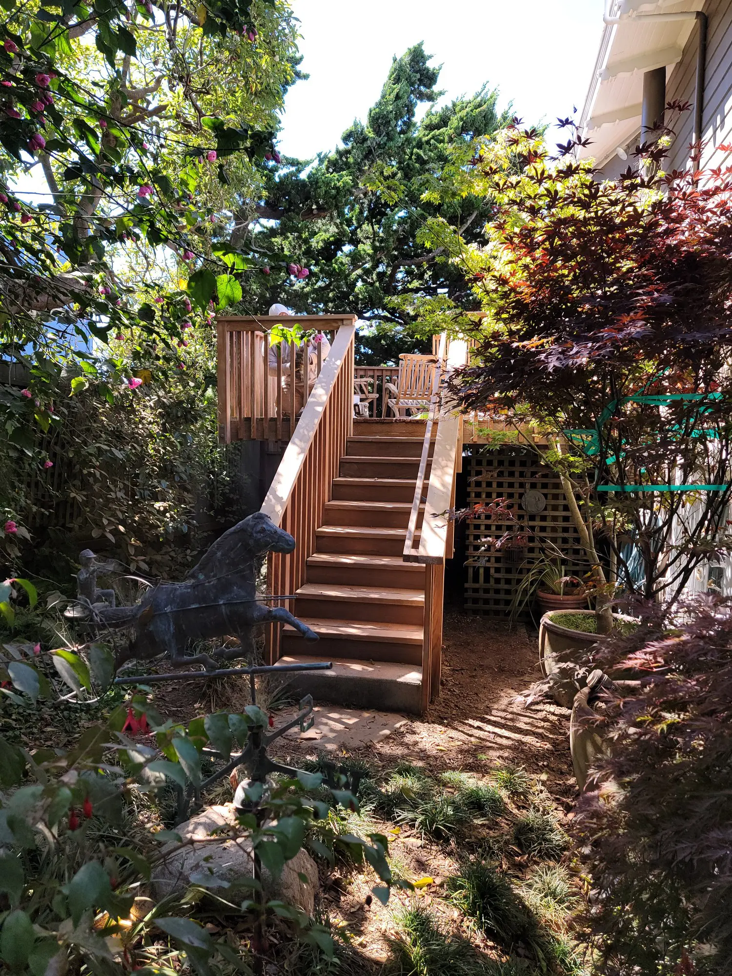 Wooden stairs leading up to a deck surrounded by trees and greenery.