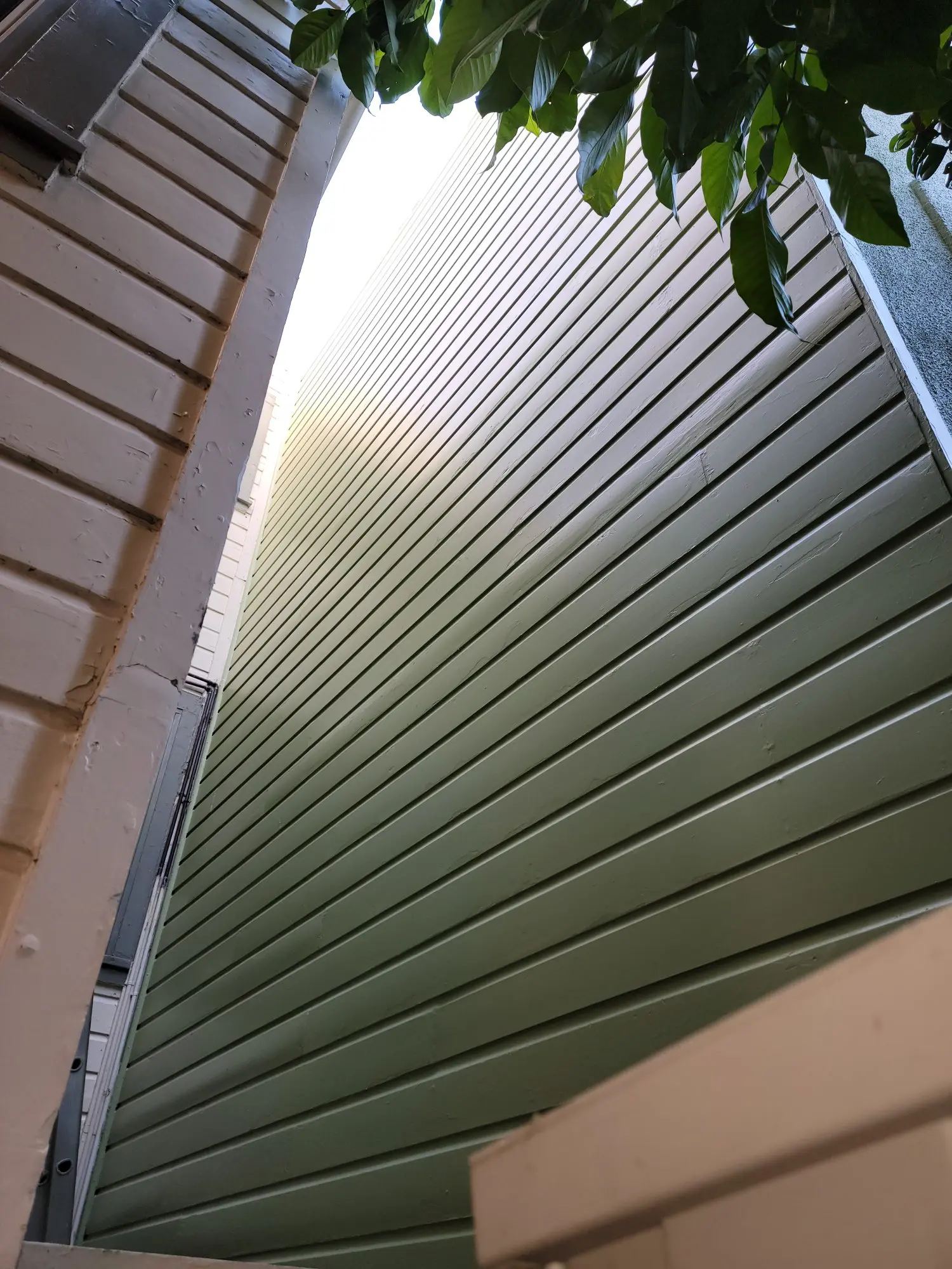 Close-up view of a green metal roof with wooden beams and plants.