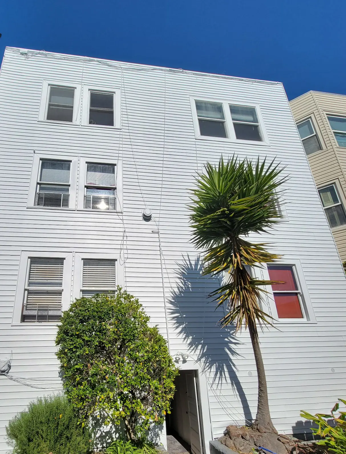 White brick building with windows and palm trees under blue sky.