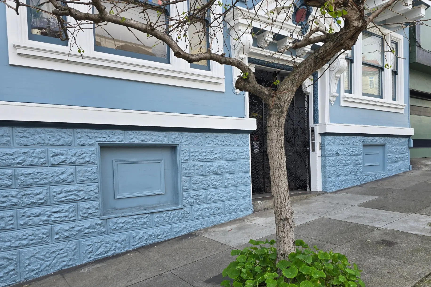 Blue-painted building exterior with a tree in front.