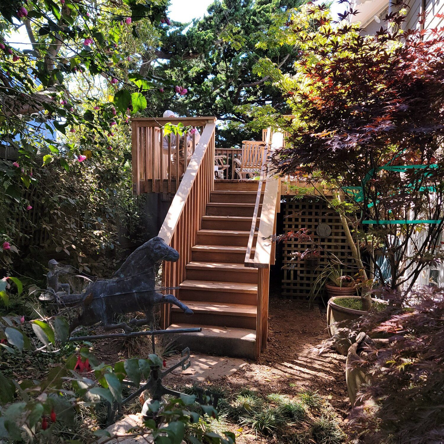 Freshly stained backyard wood deck after professional deck restoration service.